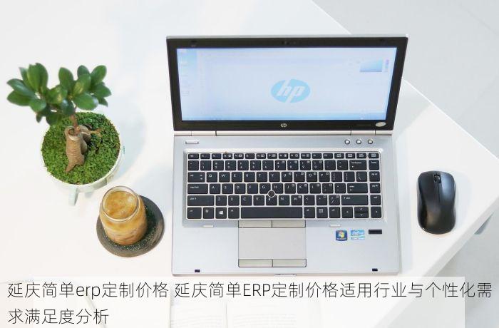 延庆简单erp定制价格 延庆简单ERP定制价格适用行业与个性化需求满足度分析