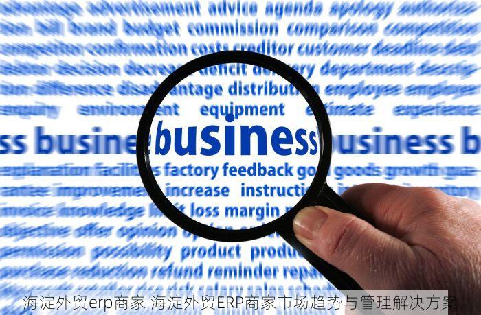 海淀外贸erp商家 海淀外贸ERP商家市场趋势与管理解决方案