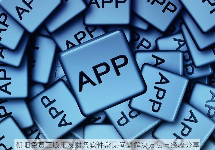 朝阳免费正版用友财务软件常见问题解决方法与经验分享