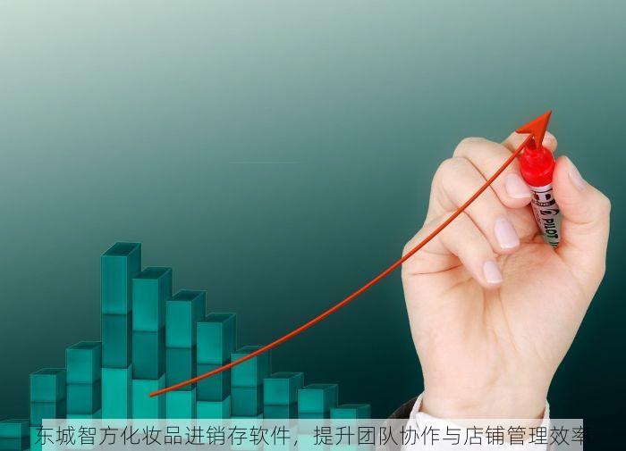 东城智方化妆品进销存软件，提升团队协作与店铺管理效率