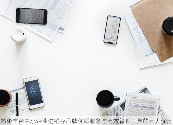 揭秘丰台中小企业进销存品牌优质服务与高效管理工具的五大优势