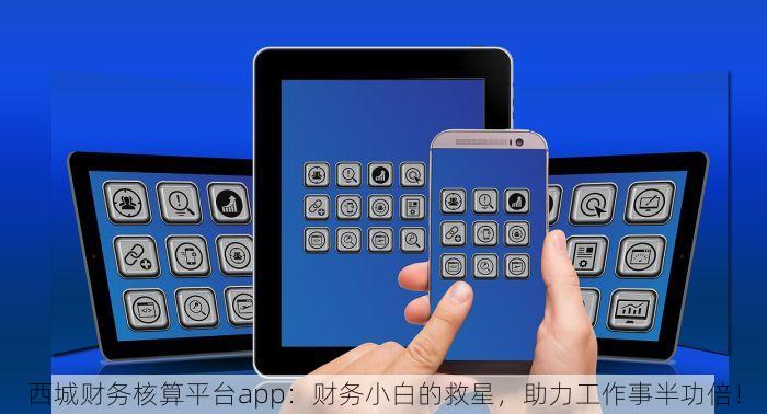 西城财务核算平台app：财务小白的救星，助力工作事半功倍！