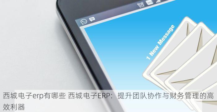 西城电子erp有哪些 西城电子ERP：提升团队协作与财务管理的高效利器