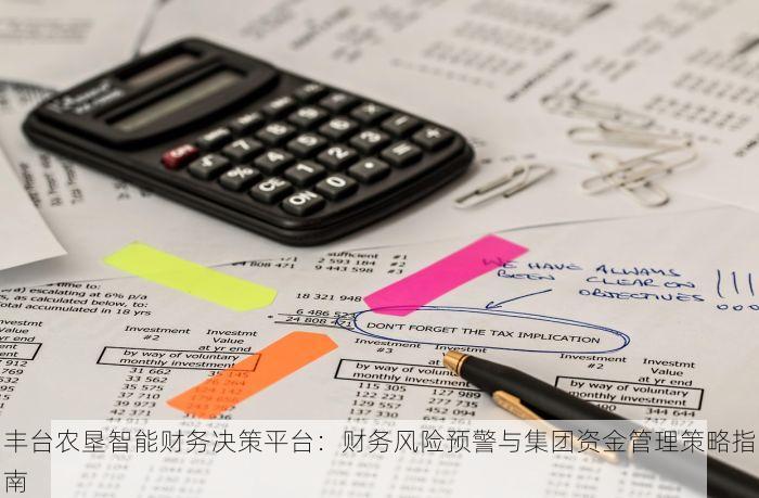 丰台农垦智能财务决策平台：财务风险预警与集团资金管理策略指南