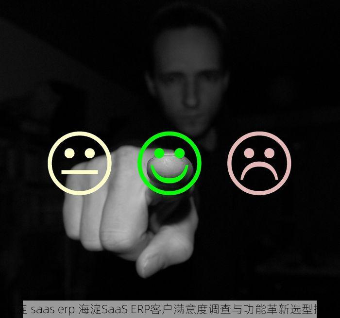 海淀 saas erp 海淀SaaS ERP客户满意度调查与功能革新选型指南