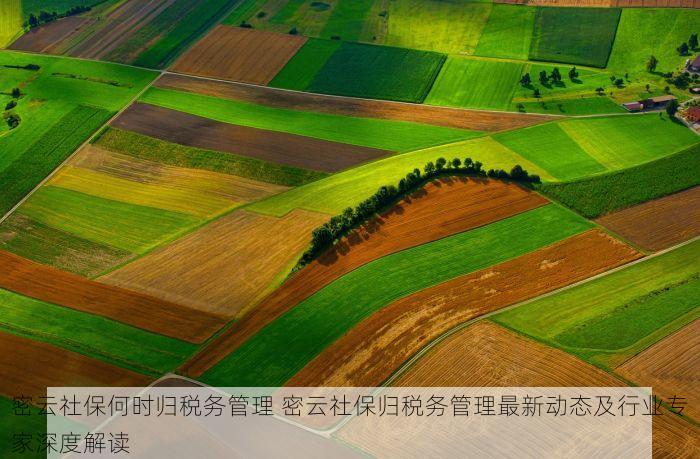 密云社保何时归税务管理 密云社保归税务管理最新动态及行业专家深度解读