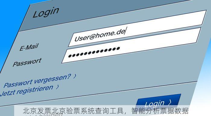 北京发票北京验票系统查询工具，智能分析票据数据