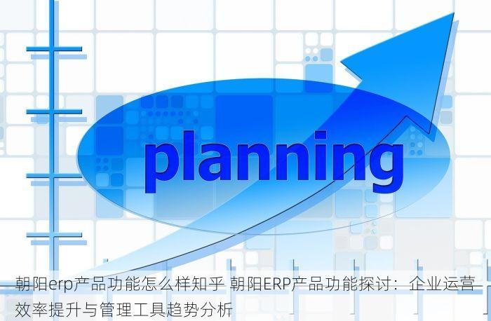 朝阳erp产品功能怎么样知乎 朝阳ERP产品功能探讨：企业运营效率提升与管理工具趋势分析