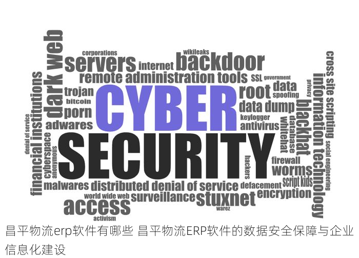 昌平物流erp软件有哪些 昌平物流ERP软件的数据安全保障与企业信息化建设