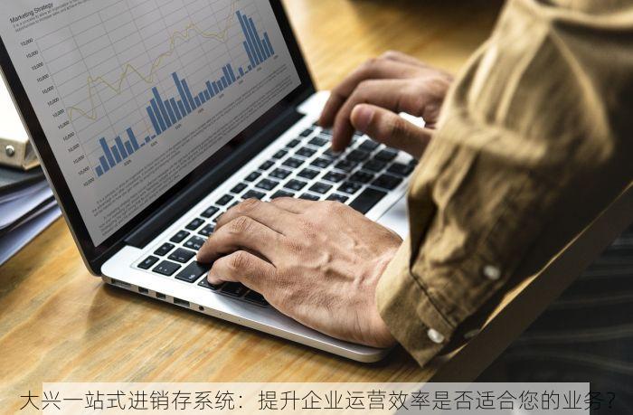大兴一站式进销存系统：提升企业运营效率是否适合您的业务？