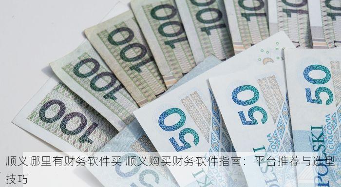 顺义哪里有财务软件买 顺义购买财务软件指南：平台推荐与选型技巧