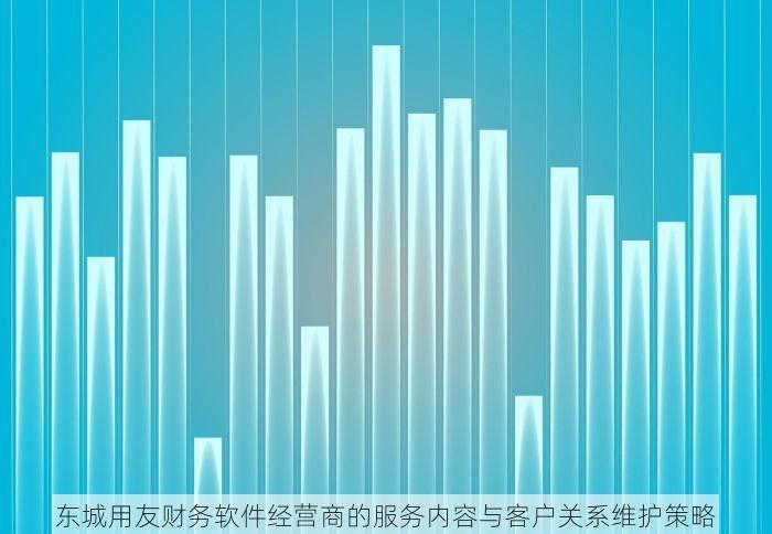 东城用友财务软件经营商的服务内容与客户关系维护策略