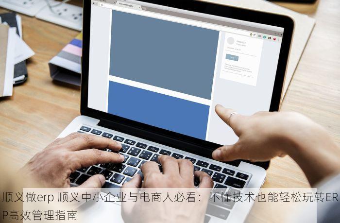 顺义做erp 顺义中小企业与电商人必看：不懂技术也能轻松玩转ERP高效管理指南