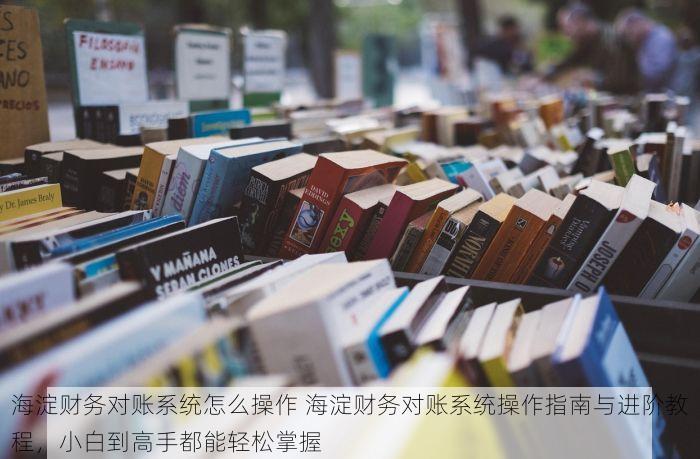 海淀财务对账系统怎么操作 海淀财务对账系统操作指南与进阶教程，小白到高手都能轻松掌握