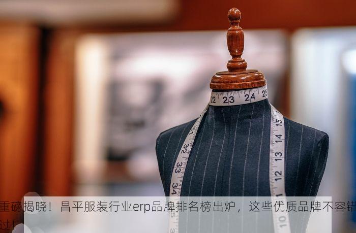 重磅揭晓！昌平服装行业erp品牌排名榜出炉，这些优质品牌不容错过！