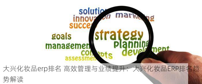大兴化妆品erp排名 高效管理与业绩提升：大兴化妆品ERP排名趋势解读