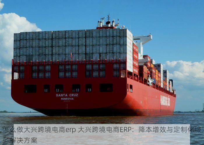 怎么做大兴跨境电商erp 大兴跨境电商ERP：降本增效与定制化服务解决方案