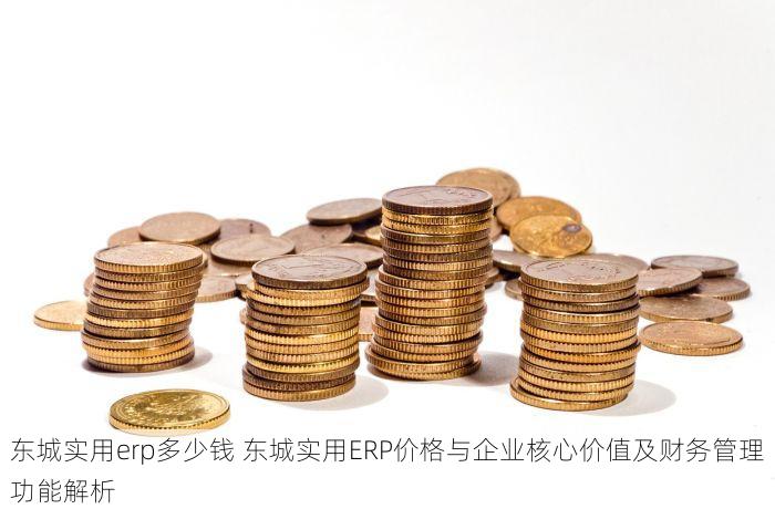 东城实用erp多少钱 东城实用ERP价格与企业核心价值及财务管理功能解析
