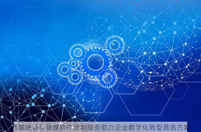 西城进销存管理软件定制服务助力企业数字化转型首选方案