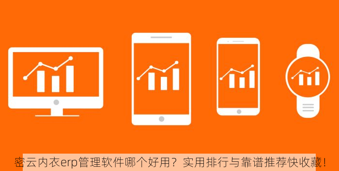 密云内衣erp管理软件哪个好用？实用排行与靠谱推荐快收藏！