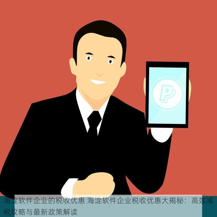 海淀软件企业的税收优惠 海淀软件企业税收优惠大揭秘：高效减税攻略与最新政策解读