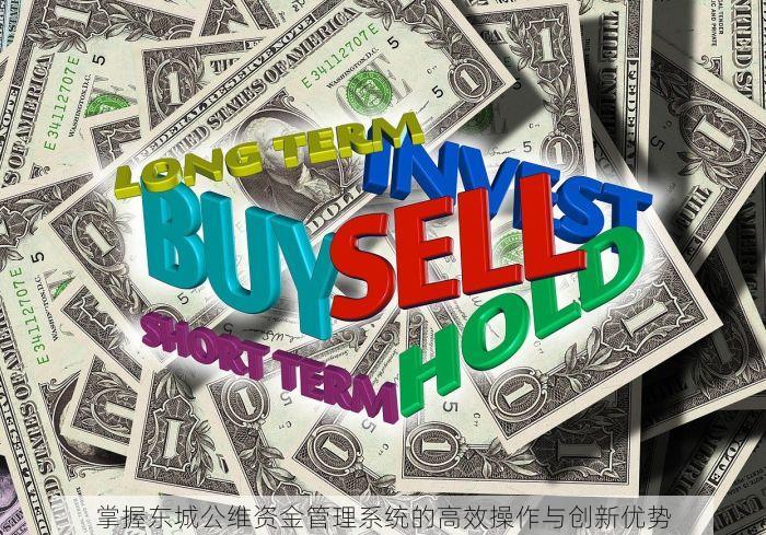 掌握东城公维资金管理系统的高效操作与创新优势