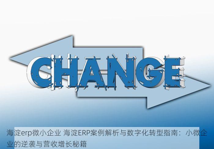 海淀erp微小企业 海淀ERP案例解析与数字化转型指南：小微企业的逆袭与营收增长秘籍