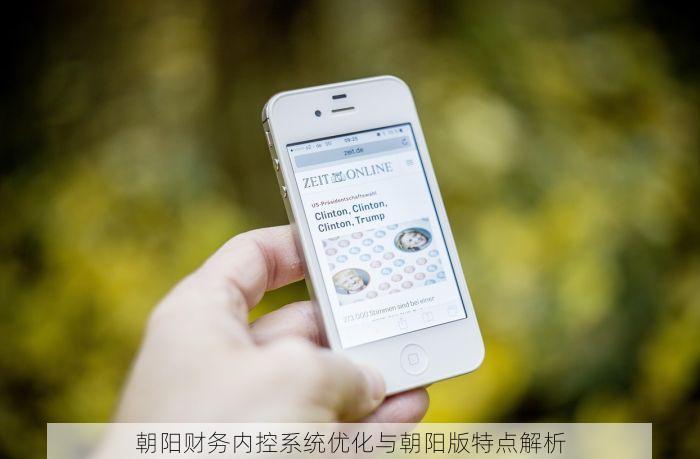 朝阳财务内控系统优化与朝阳版特点解析