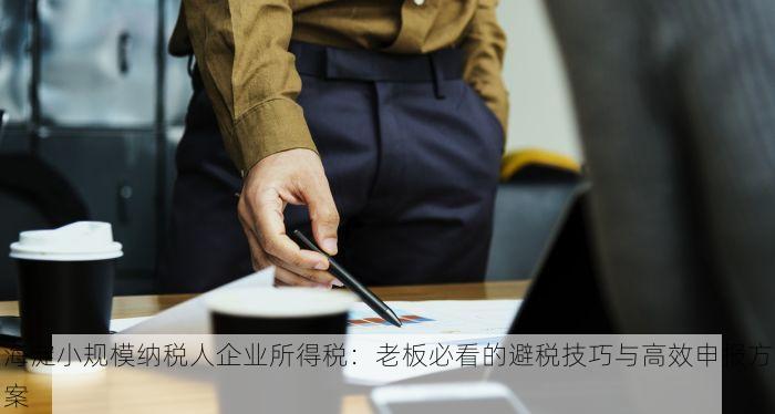 海淀小规模纳税人企业所得税：老板必看的避税技巧与高效申报方案