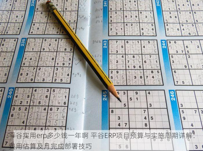 平谷实用erp多少钱一年啊 平谷ERP项目预算与实施周期详解：费用估算及月完成部署技巧