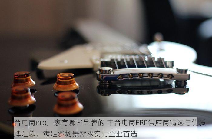 丰台电商erp厂家有哪些品牌的 丰台电商ERP供应商精选与优质品牌汇总，满足多场景需求实力企业首选