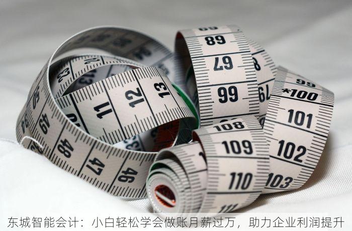 东城智能会计：小白轻松学会做账月薪过万，助力企业利润提升