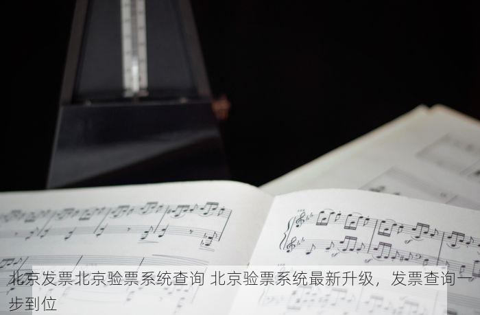 北京发票北京验票系统查询 北京验票系统最新升级，发票查询一步到位