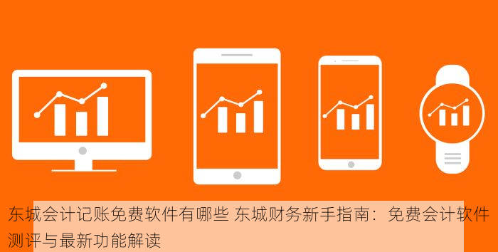 东城会计记账免费软件有哪些 东城财务新手指南：免费会计软件测评与最新功能解读
