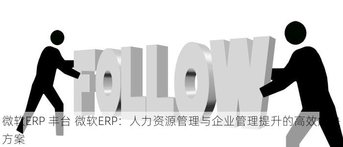 微软ERP 丰台 微软ERP：人力资源管理与企业管理提升的高效解决方案