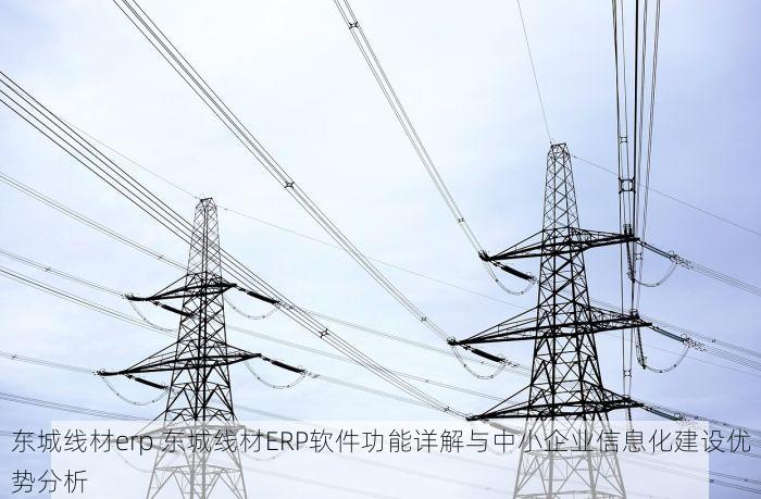 东城线材erp 东城线材ERP软件功能详解与中小企业信息化建设优势分析