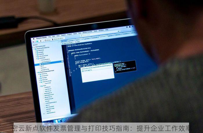 密云新点软件发票管理与打印技巧指南：提升企业工作效率