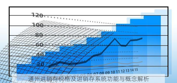 通州进销存价格及进销存系统功能与概念解析