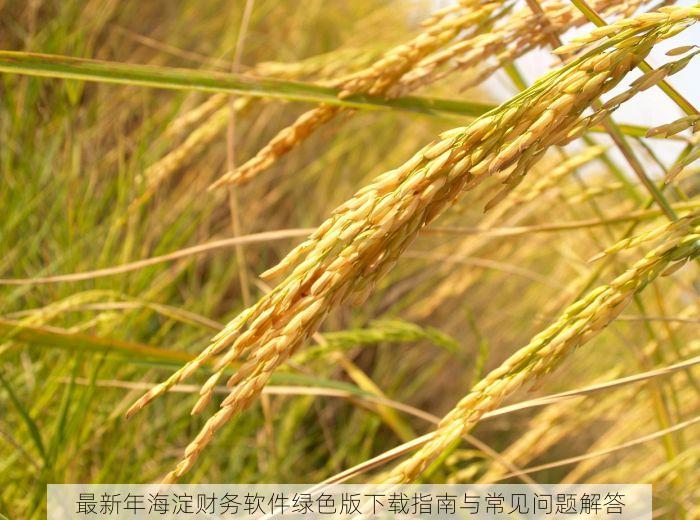 最新年海淀财务软件绿色版下载指南与常见问题解答