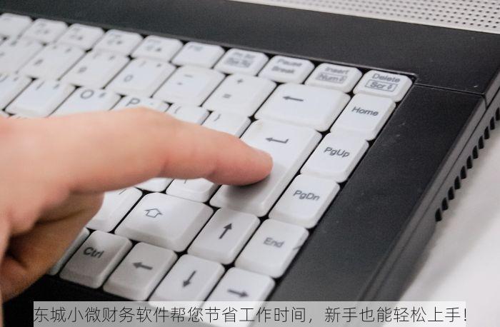 东城小微财务软件帮您节省工作时间，新手也能轻松上手！