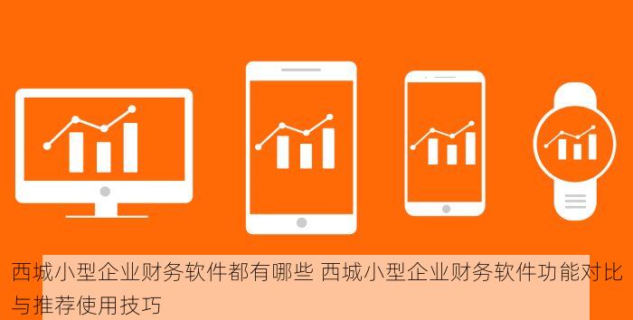 西城小型企业财务软件都有哪些 西城小型企业财务软件功能对比与推荐使用技巧
