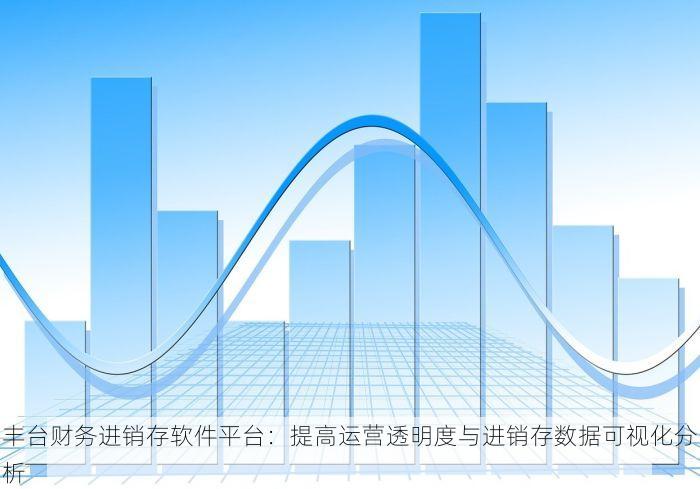 丰台财务进销存软件平台：提高运营透明度与进销存数据可视化分析