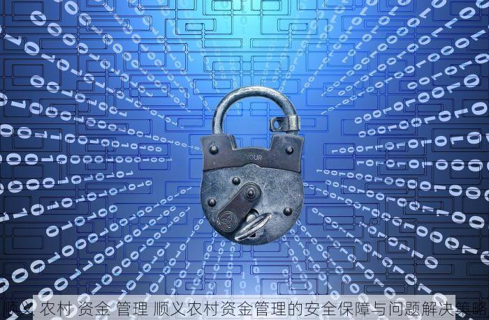 顺义 农村 资金 管理 顺义农村资金管理的安全保障与问题解决策略