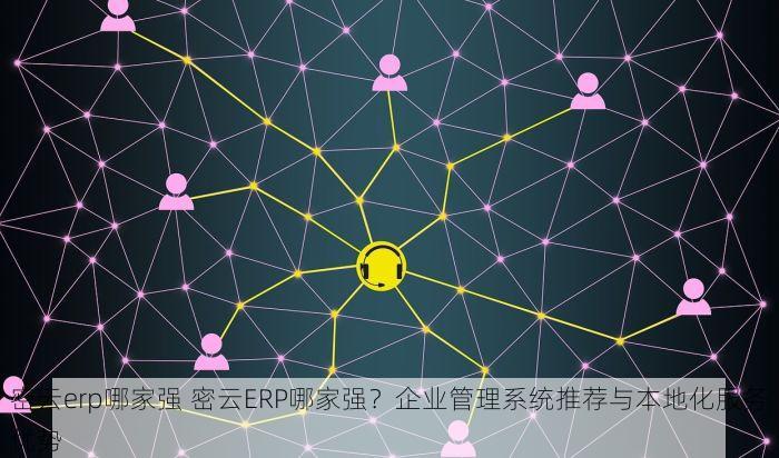 密云erp哪家强 密云ERP哪家强？企业管理系统推荐与本地化服务优势