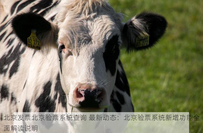 北京发票北京验票系统查询 最新动态：北京验票系统新增功能全面解读说明