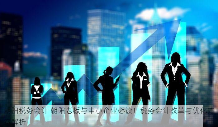 朝阳税务会计 朝阳老板与中小企业必读！税务会计改革与优化方案解析