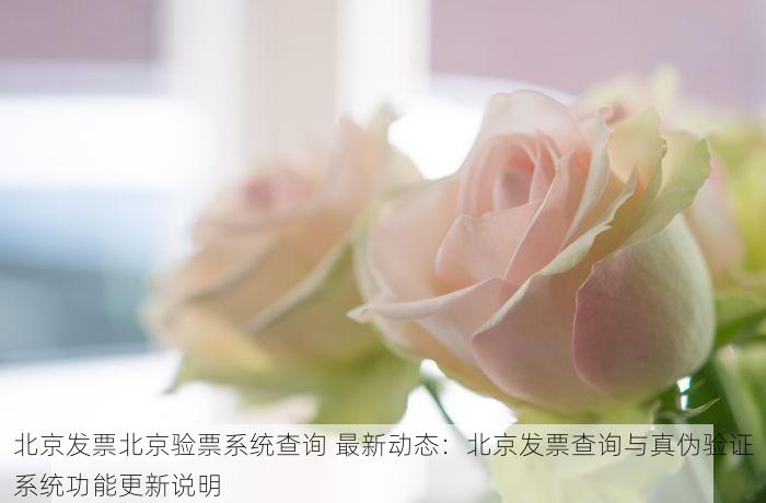 北京发票北京验票系统查询 最新动态：北京发票查询与真伪验证系统功能更新说明