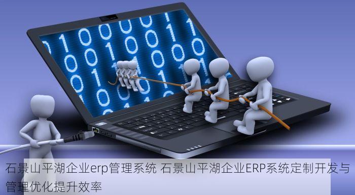 石景山平湖企业erp管理系统 石景山平湖企业ERP系统定制开发与管理优化提升效率