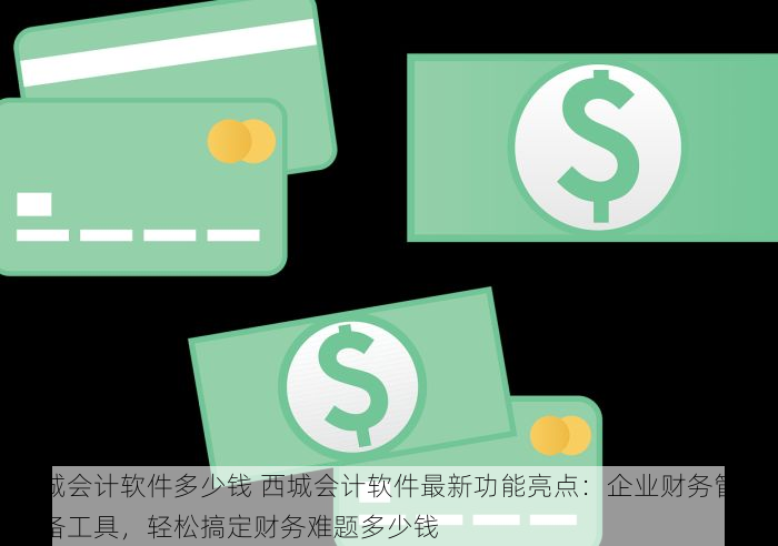 西城会计软件多少钱 西城会计软件最新功能亮点：企业财务管理必备工具，轻松搞定财务难题多少钱