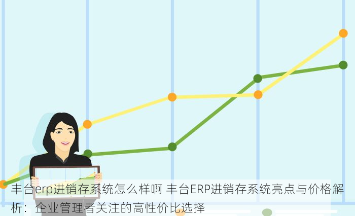 丰台erp进销存系统怎么样啊 丰台ERP进销存系统亮点与价格解析：企业管理者关注的高性价比选择